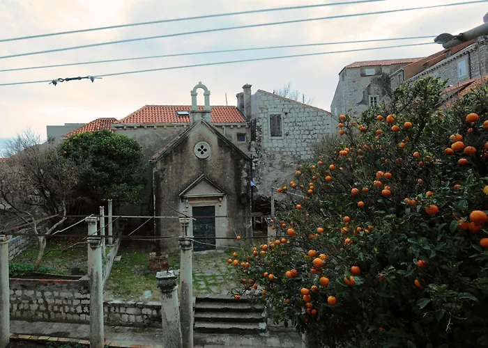 Belissima Ella